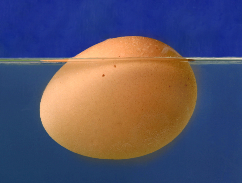 Floating Egg
